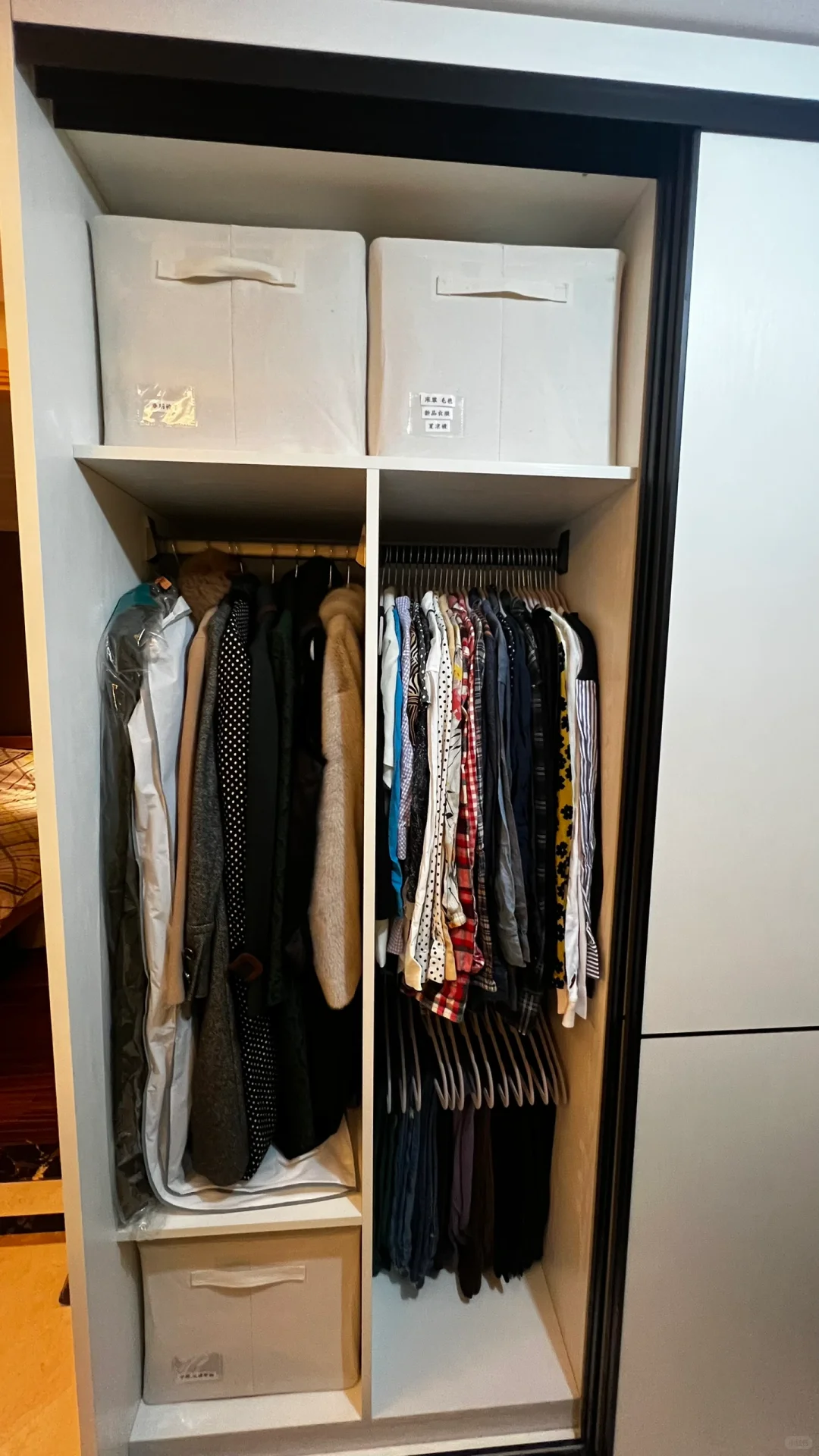 这专业整理师是真能糊弄啊‼️