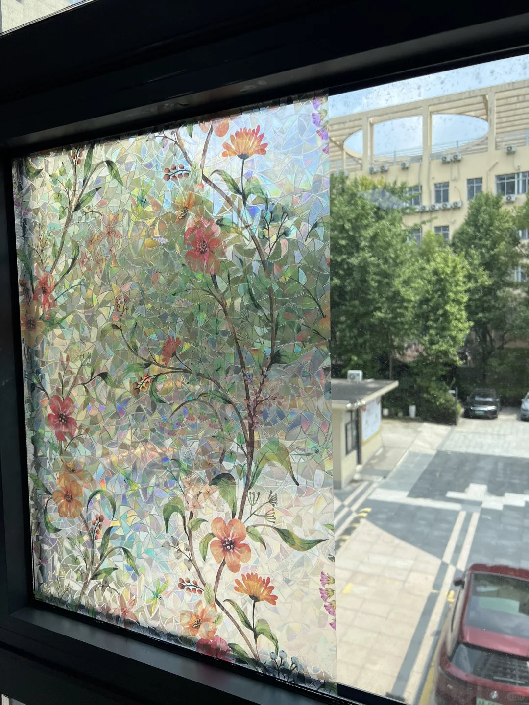 【上新】绝美光影魔法。这款膜让窗户变身艺术