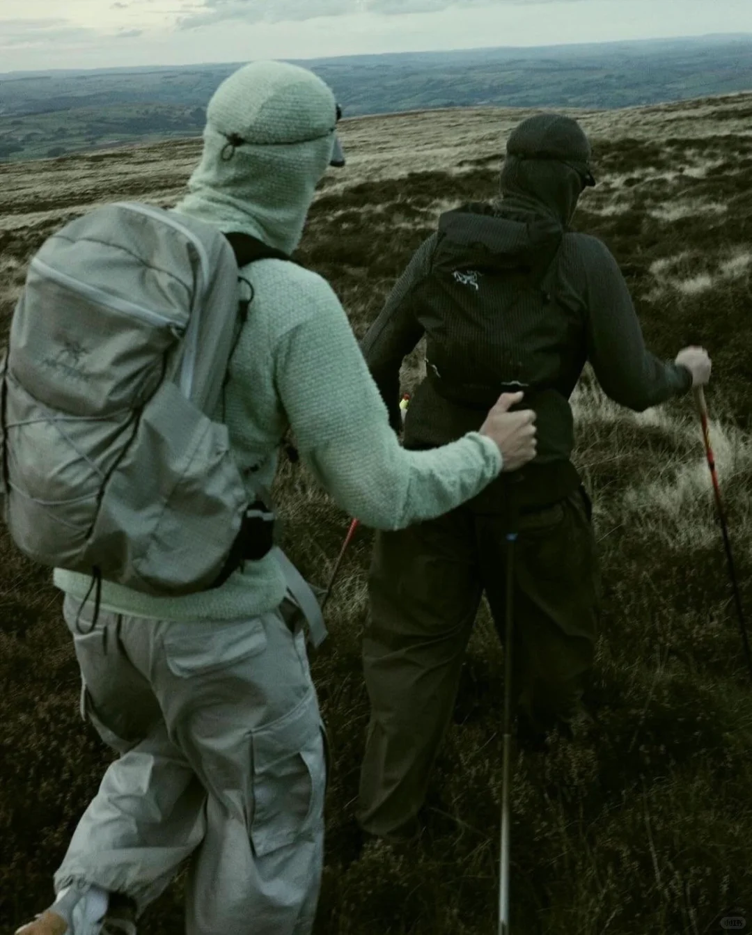 来自 Senchi Designs 的自然见解?