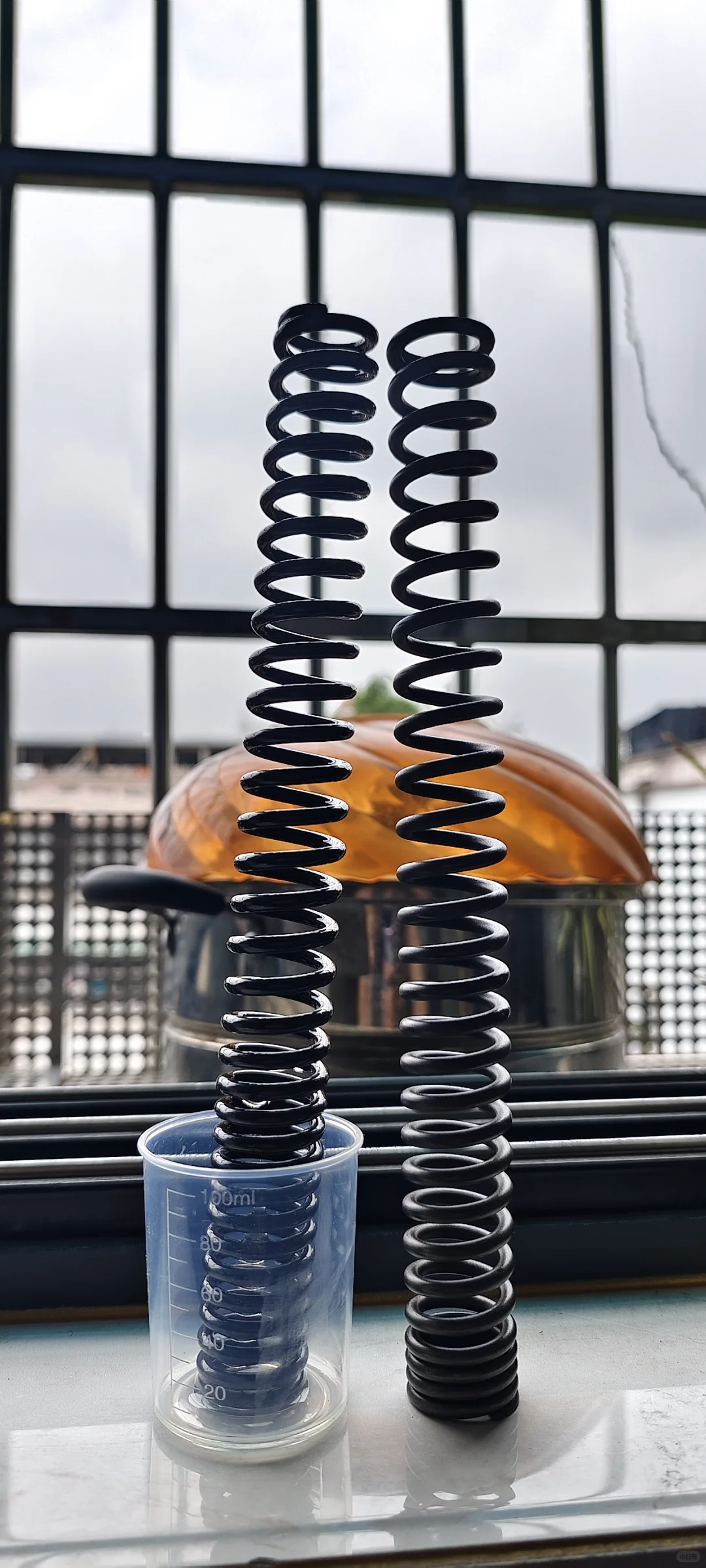 猫行动前减震更换弹簧