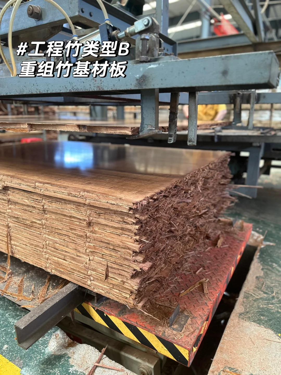 竹子的前世今生