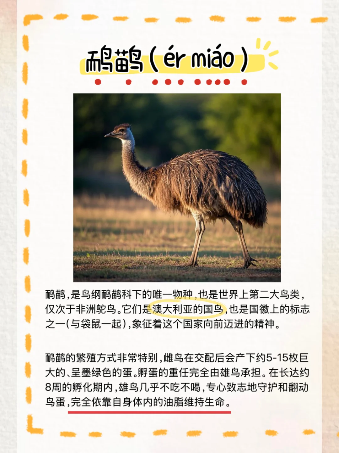 Papi酱的眼光真的毒！！！?