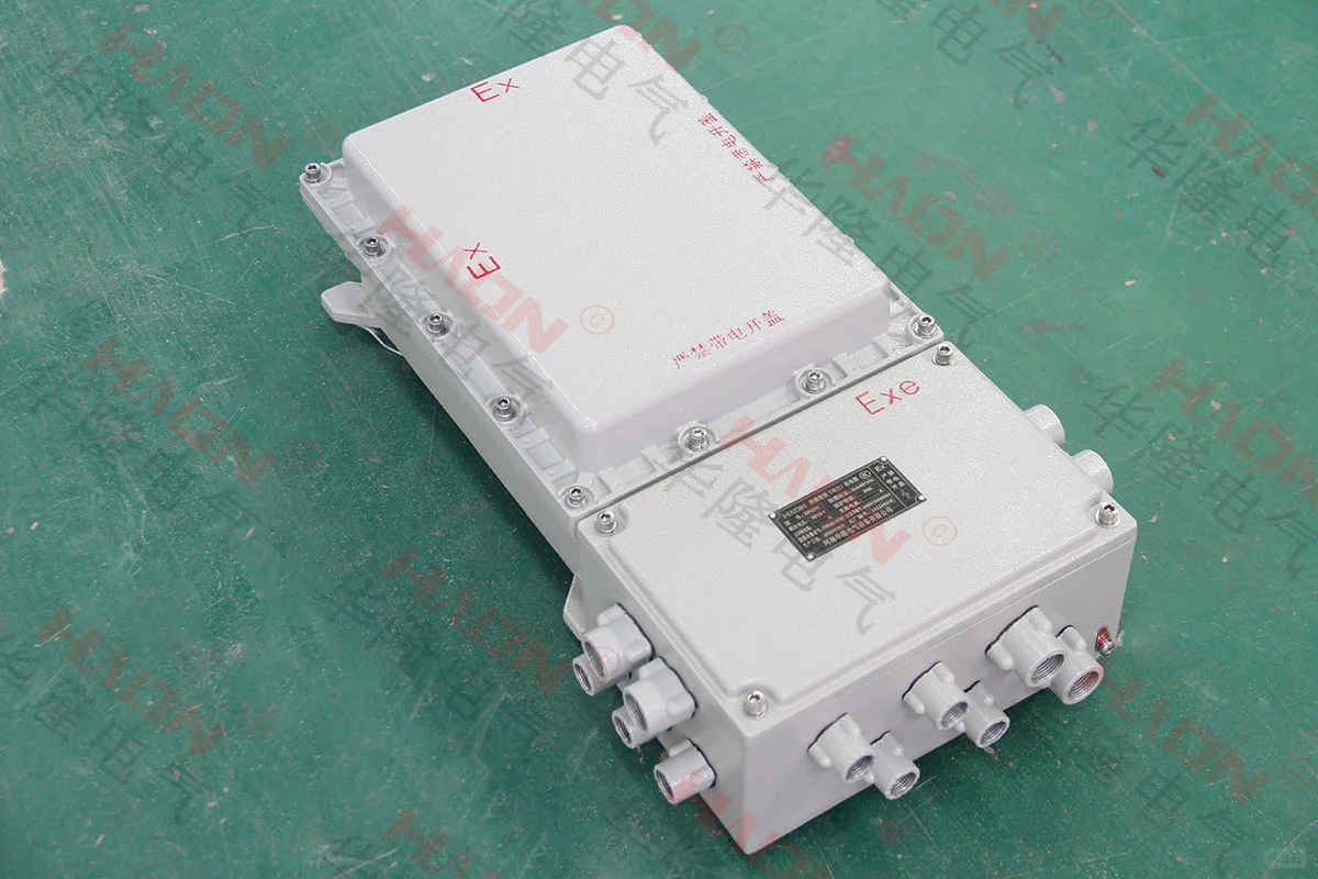 2025年防爆型温度限试仪配电箱——华隆电气