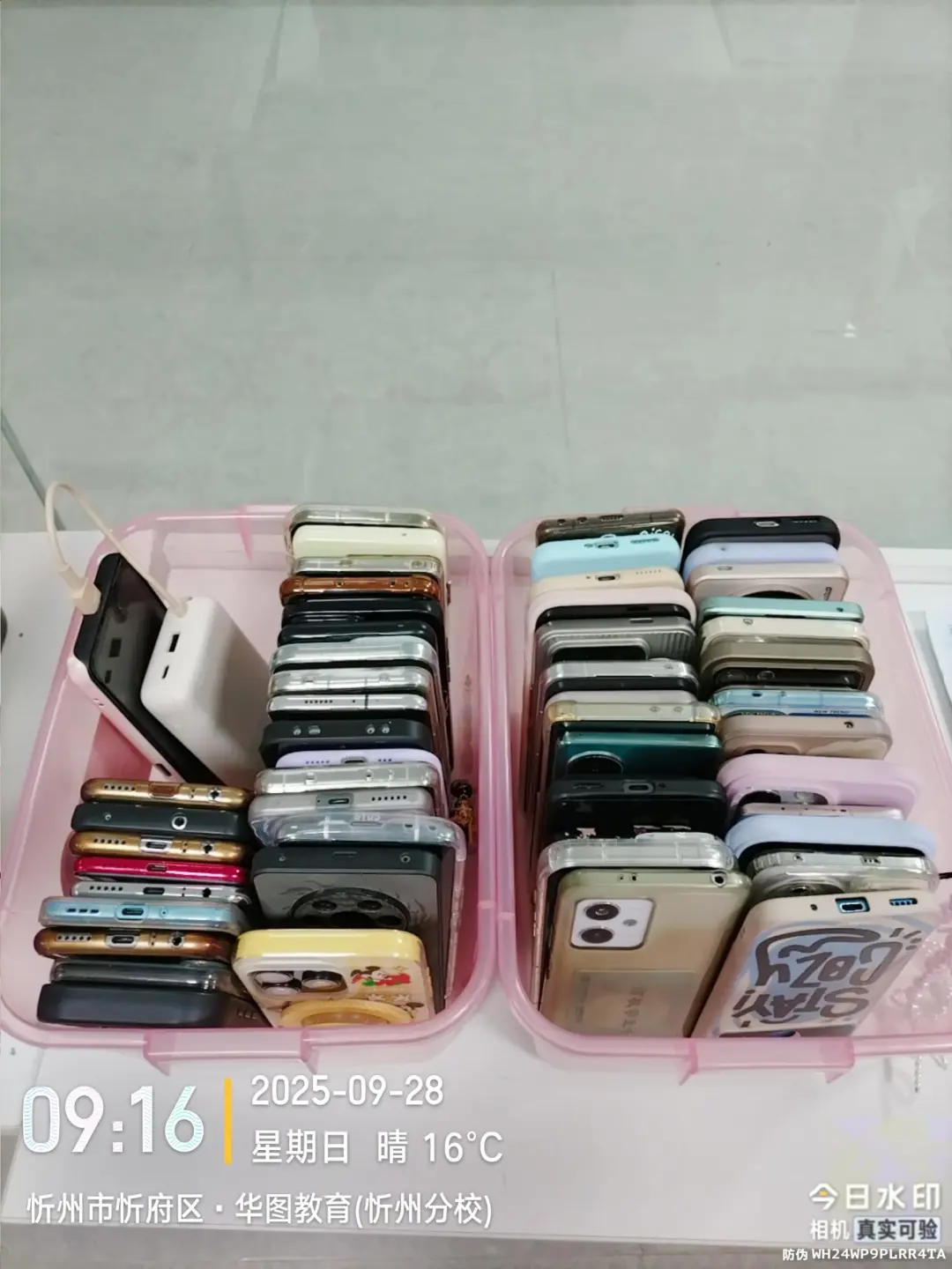 今天又收获了一堆手机?