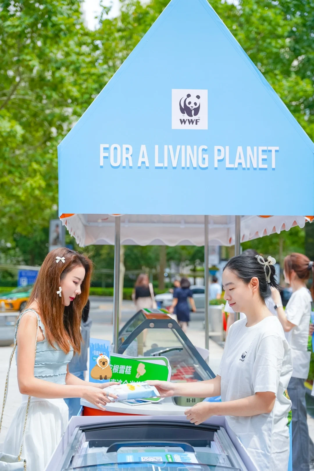 公益♻环保️|OMG!我要热化了?