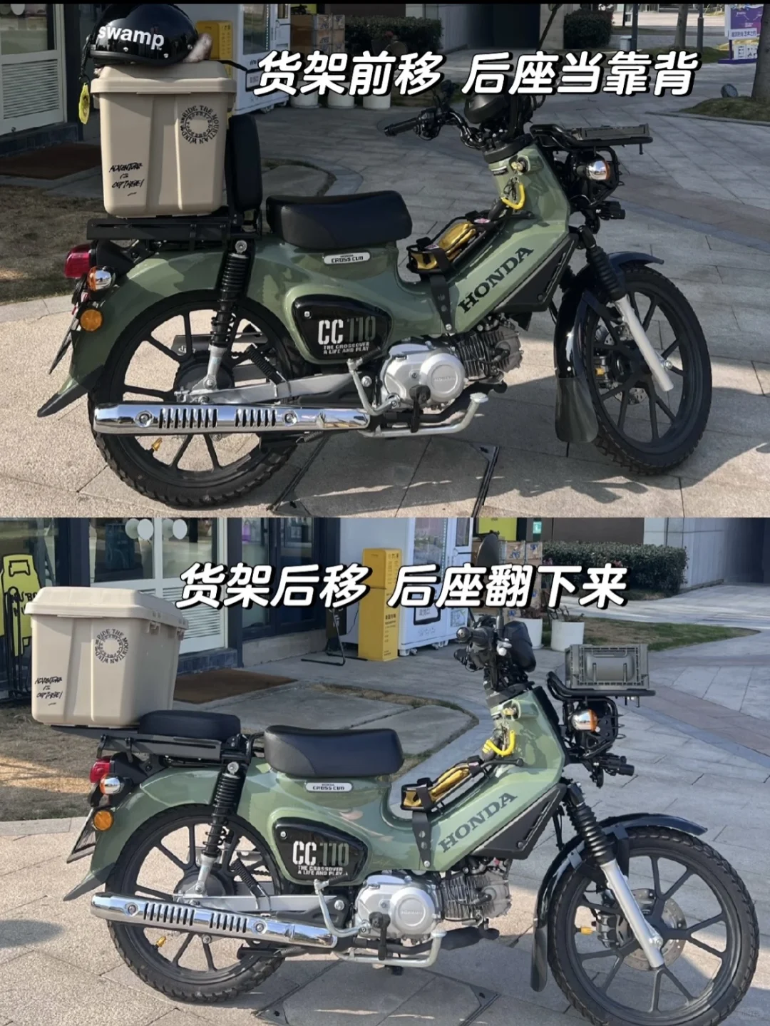 让我看看你们幼兽都改装了啥