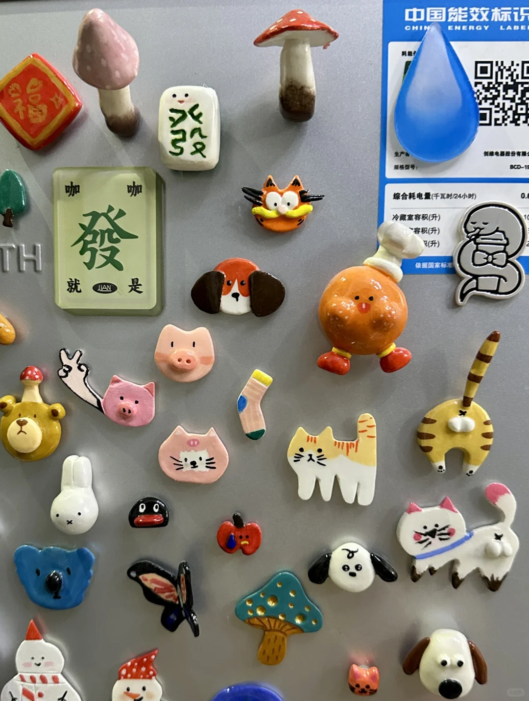 “无数个三分钟热度就有无数个三分钟收获”