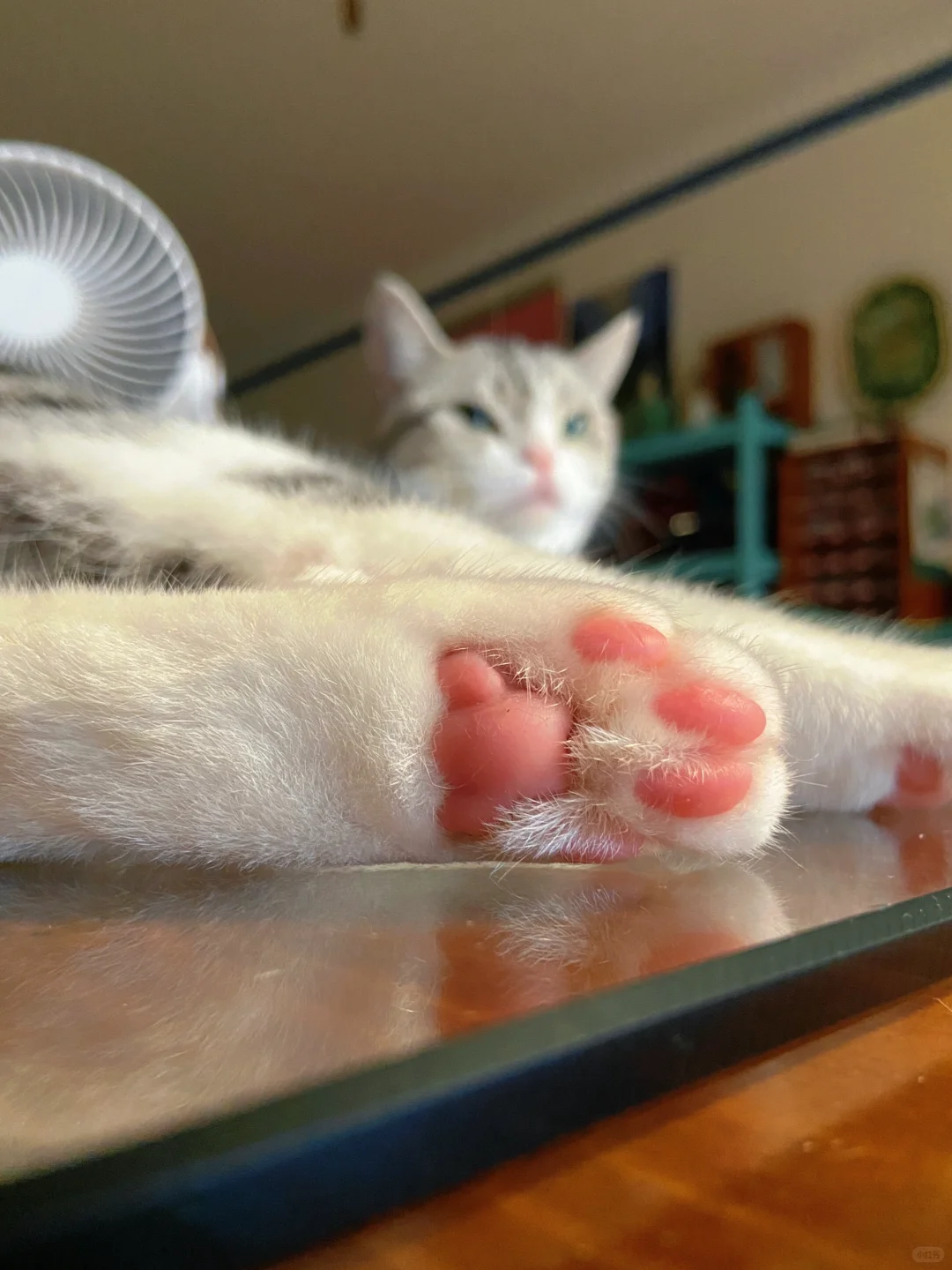 普通人家不精致但是却干干净净的房间