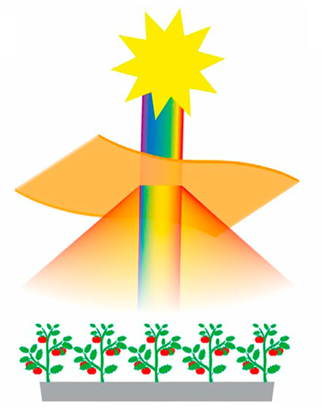 无镉量子点转光农膜，将紫外和蓝光转成红光