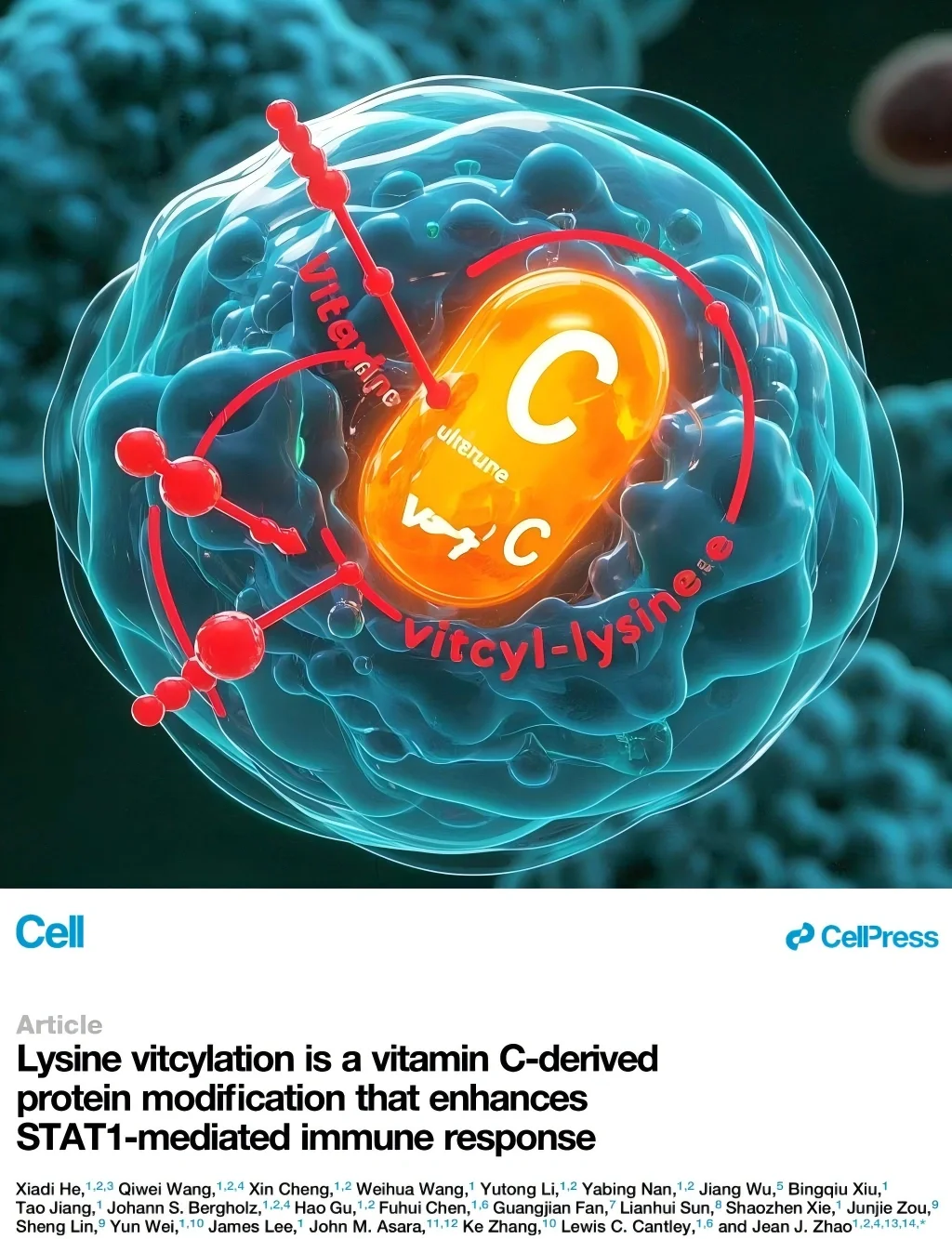 哈佛团队最新Cell，维生素C抗癌再添新证