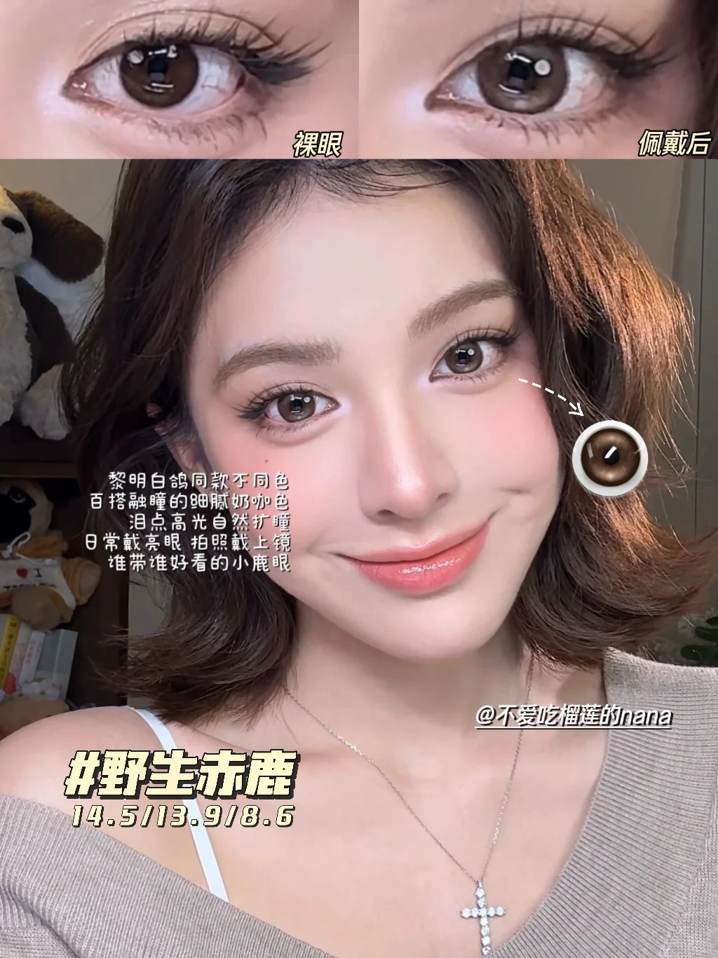 别催啦！断货王「黎明白鸽」库存现货已上架！