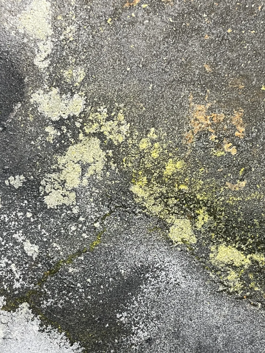 露珠与闪电：郑忠《文脉之光》的刹那澄明