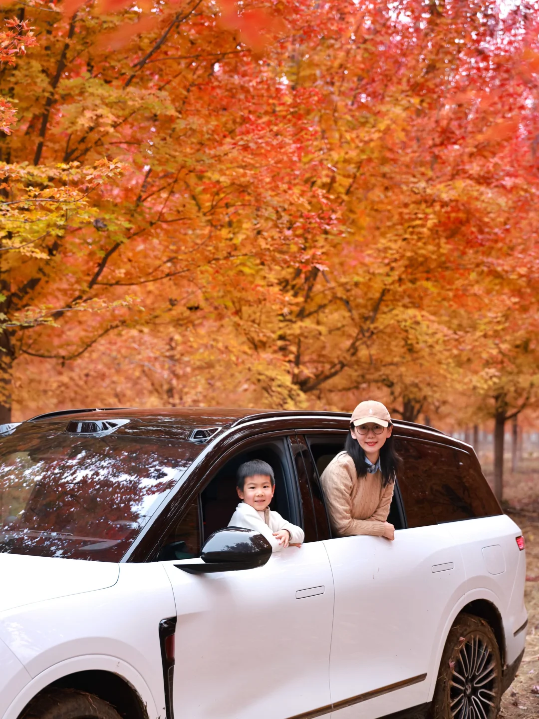10.30实拍!北京深藏不露的红枫秘境美到失语
