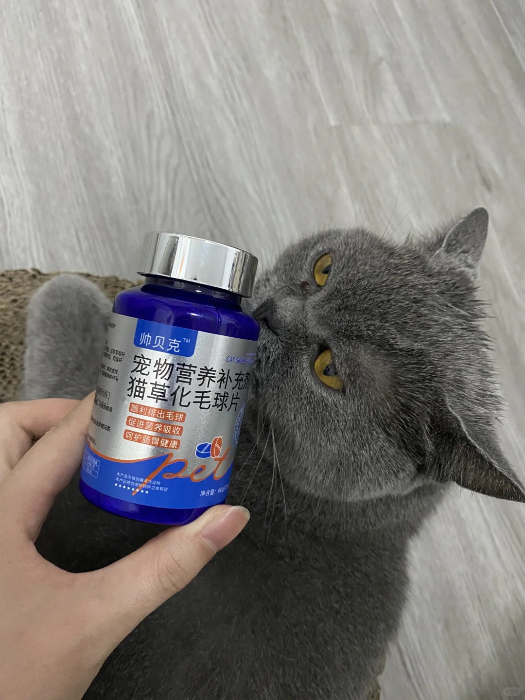 ?真·猫草提取+天然膳食纤维