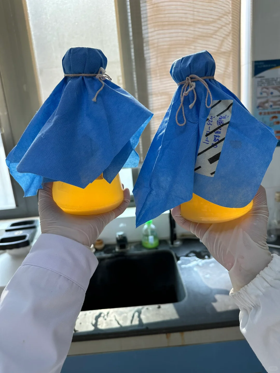 今日成就之配置培养基