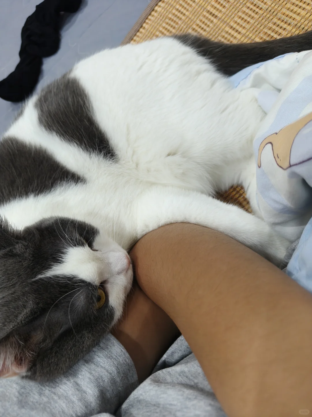 00后入职宠物医疗设备的第2个月