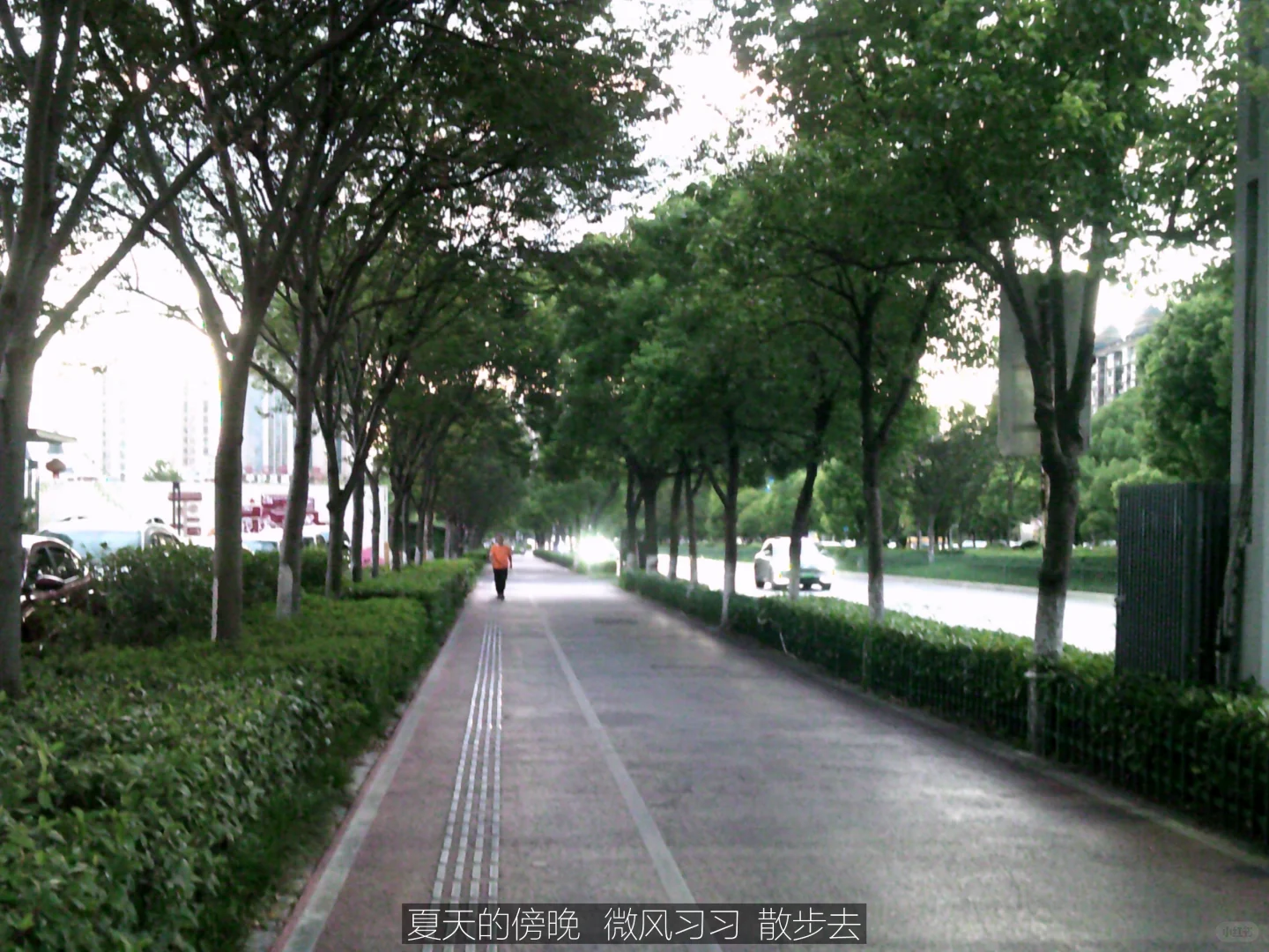 当我买ccd买成了行车记录仪这回事儿?