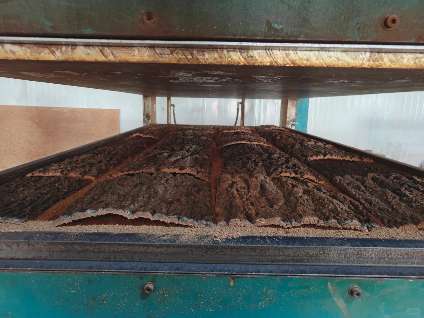 被低估了的可持续材料｜栓皮栎树皮