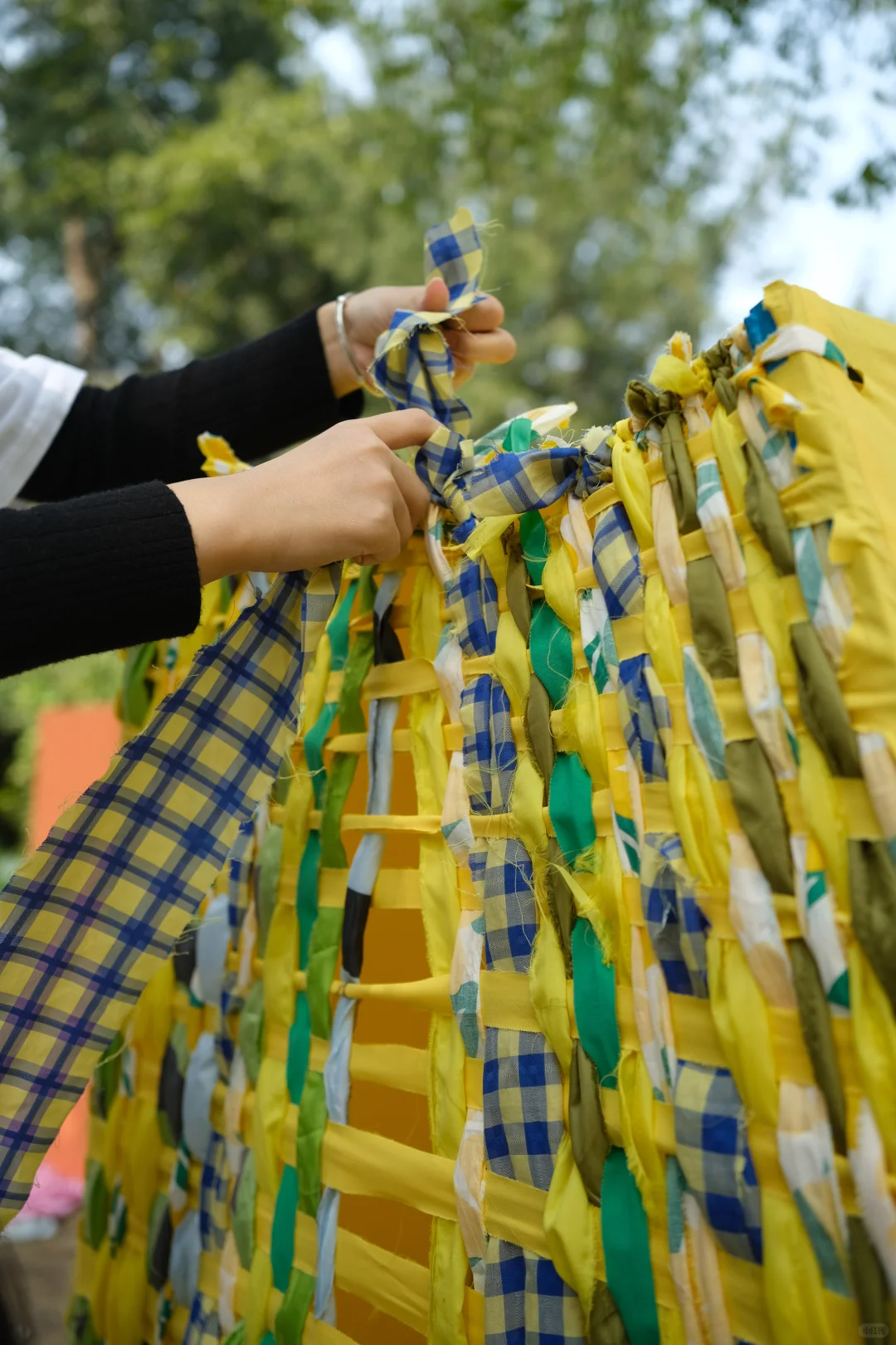 plant b“捡垃圾”的第4年?♻️