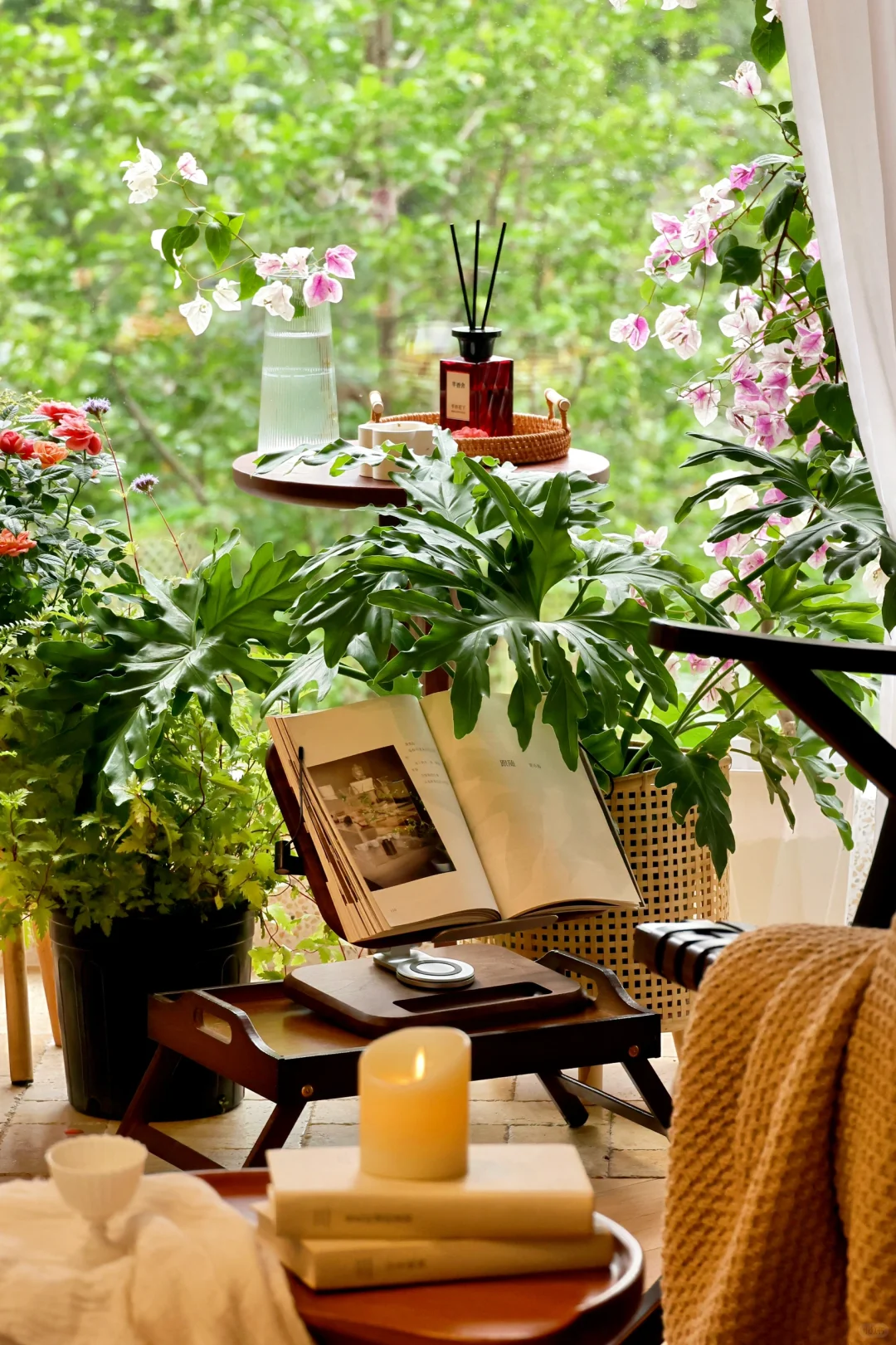 秋冬宅家,享受被阳光和绿植包裹的治愈时光