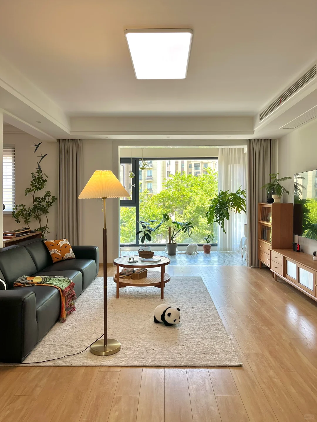 我那110平明亮通透，越住越爱的家✨