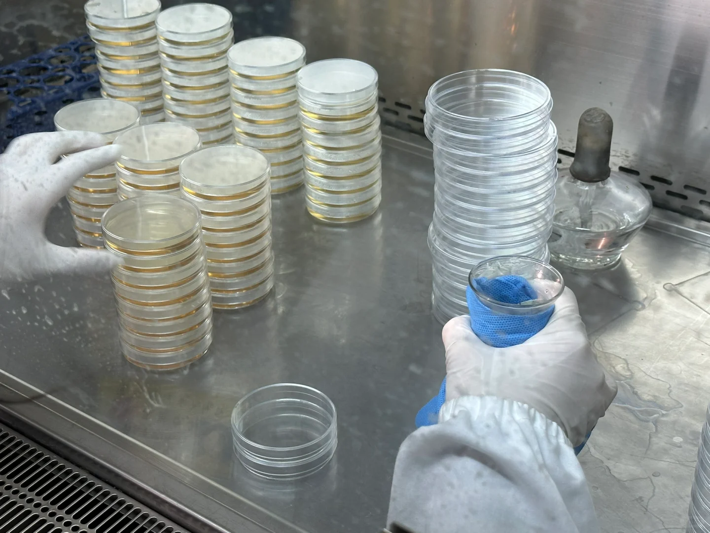 今日成就之配置培养基