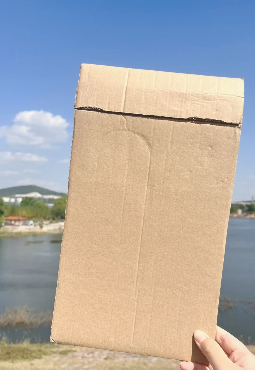 小众爱好，捡纸壳子去卖