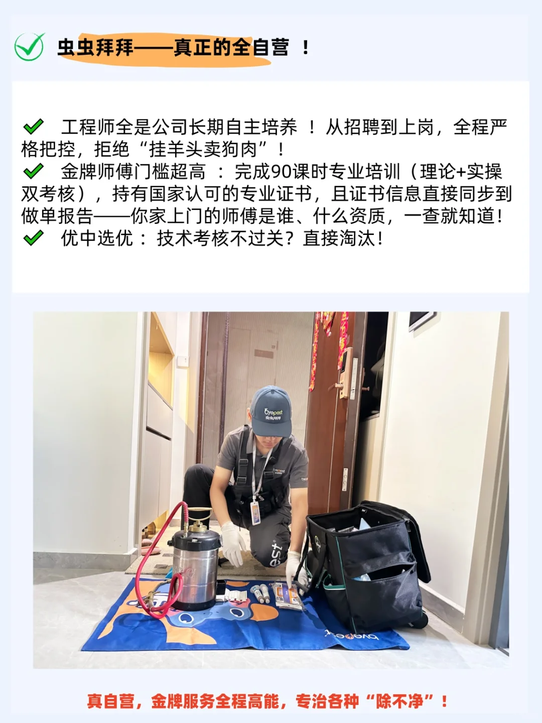 虫虫拜拜：真正的除虫界 “六边形战士”！