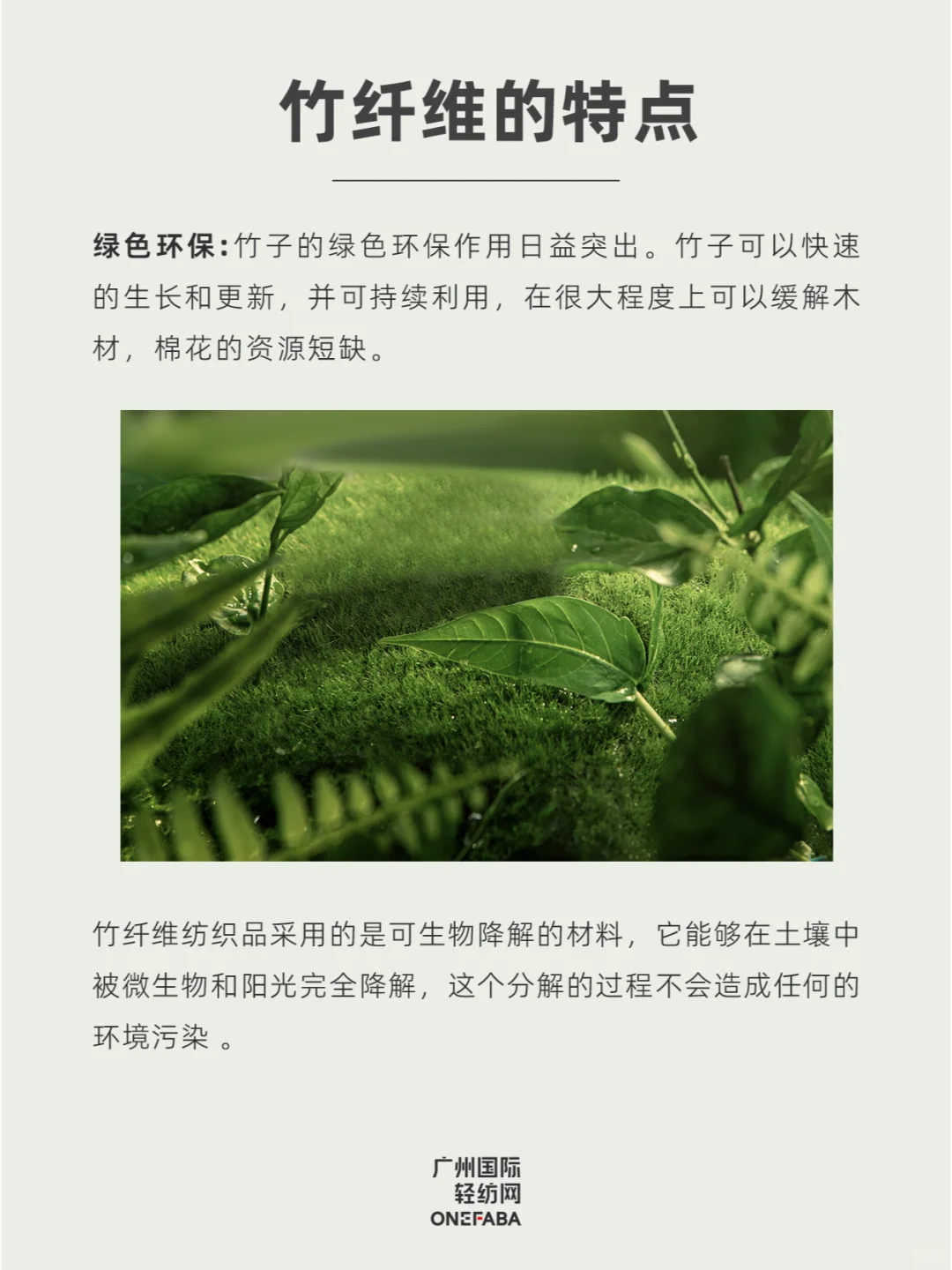 30秒GET一个面料知识 —— 竹纤维?