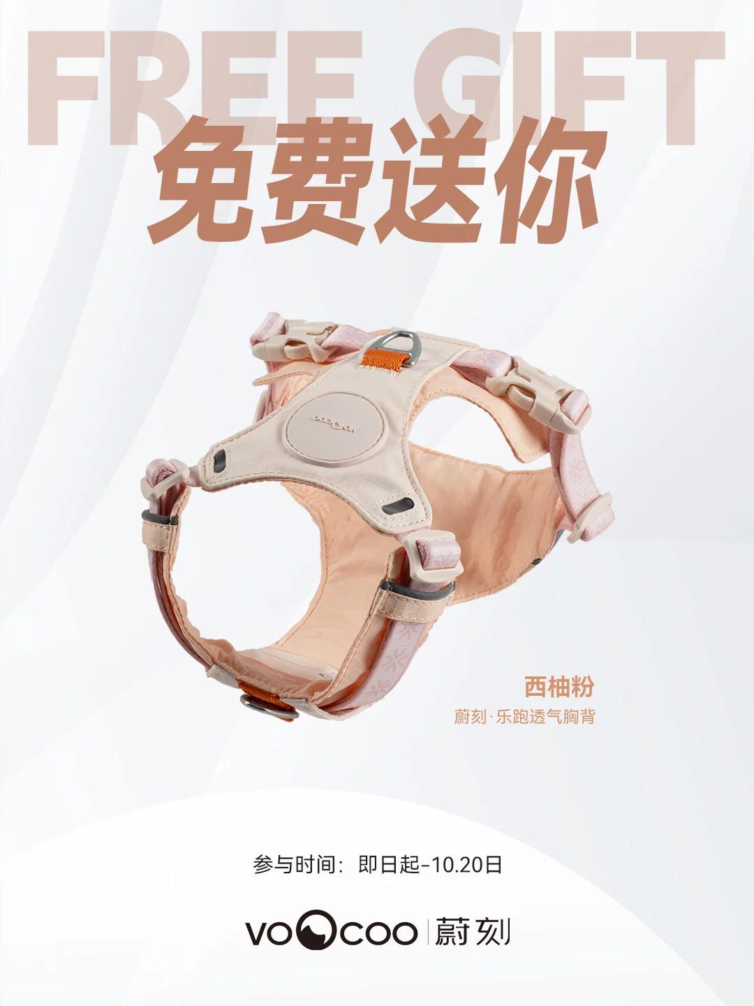 宠粉福利｜送你一个透气胸背?