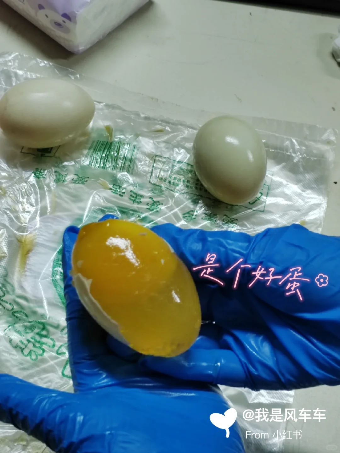 重生之我在学校制作皮蛋