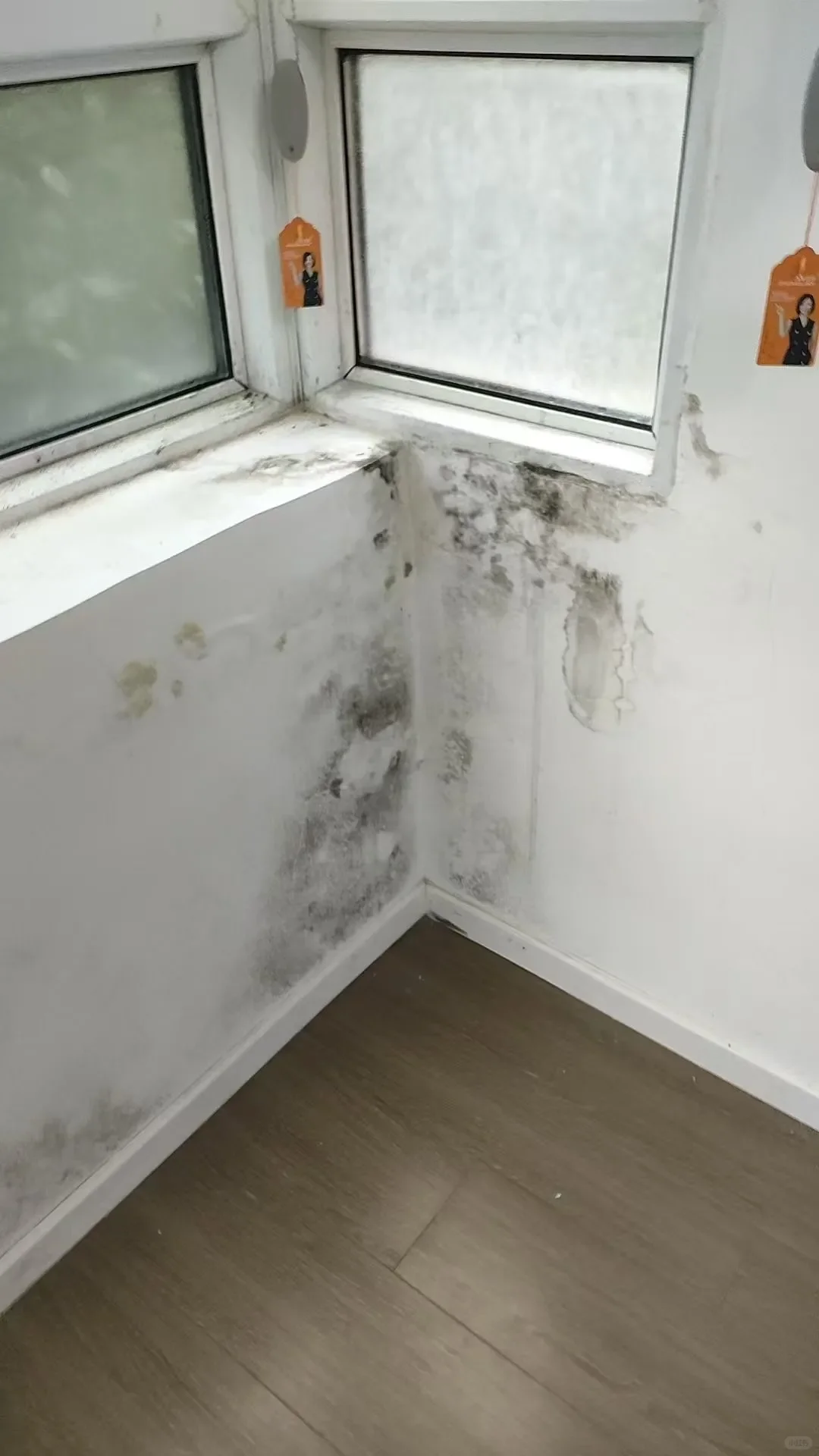 用了它就烦恼就“霉”啦