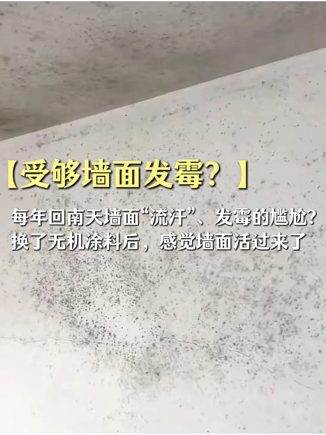 【受够墙面发霉?】