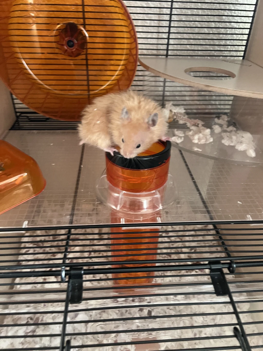 教科书级别的居家风水美学