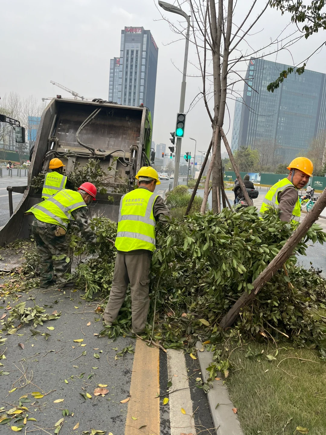 绿化带修剪废弃树枝清理 压缩装车