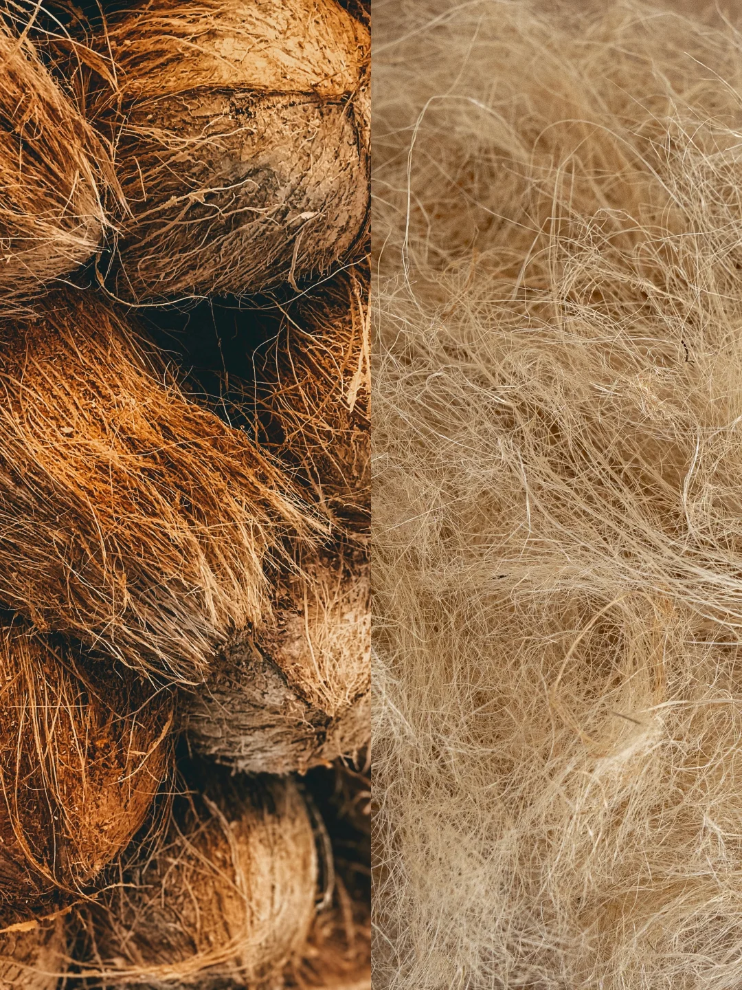 椰棕VS黄麻?到底怎么选？