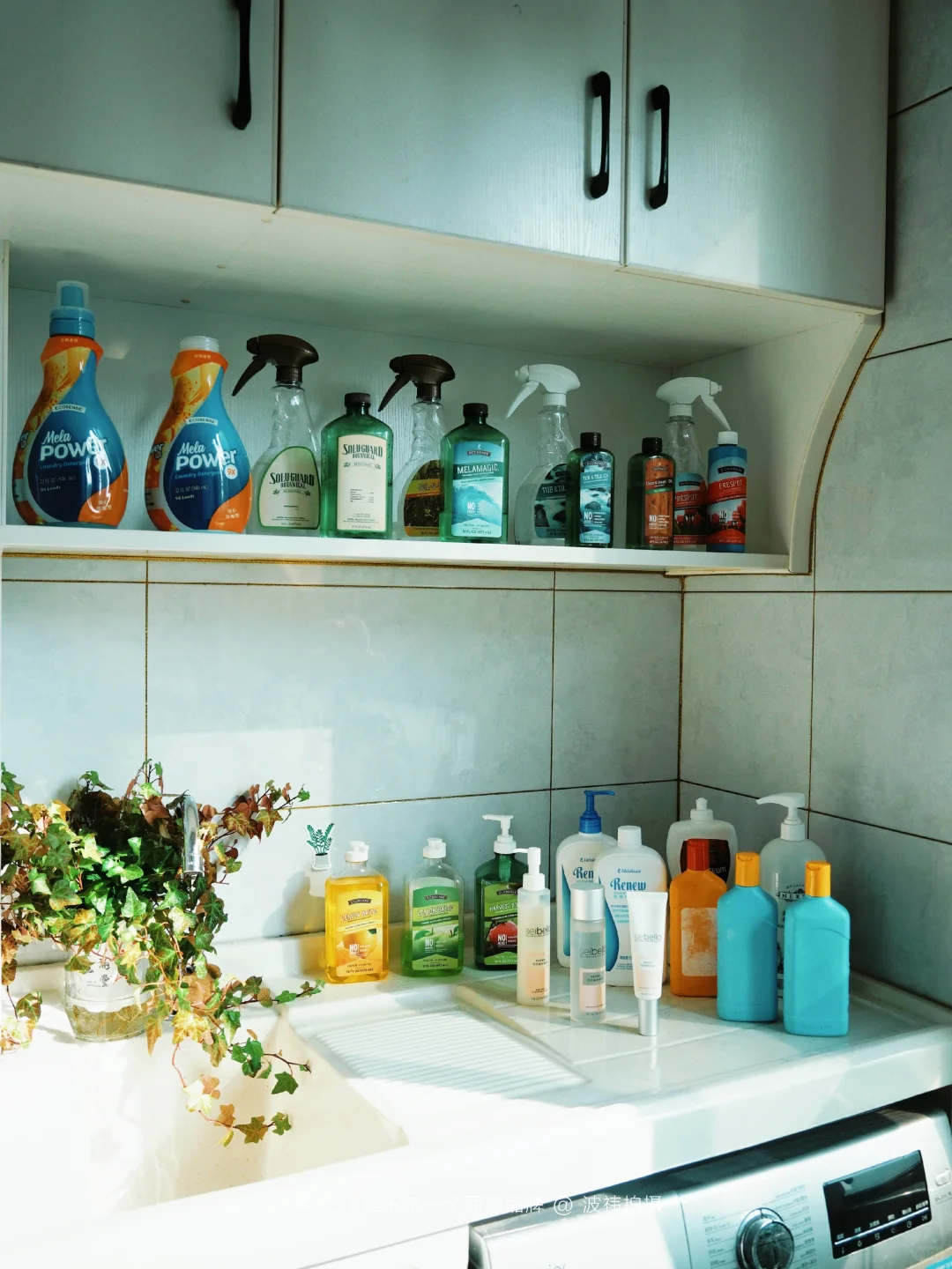 全面换用美乐家健康环保品牌