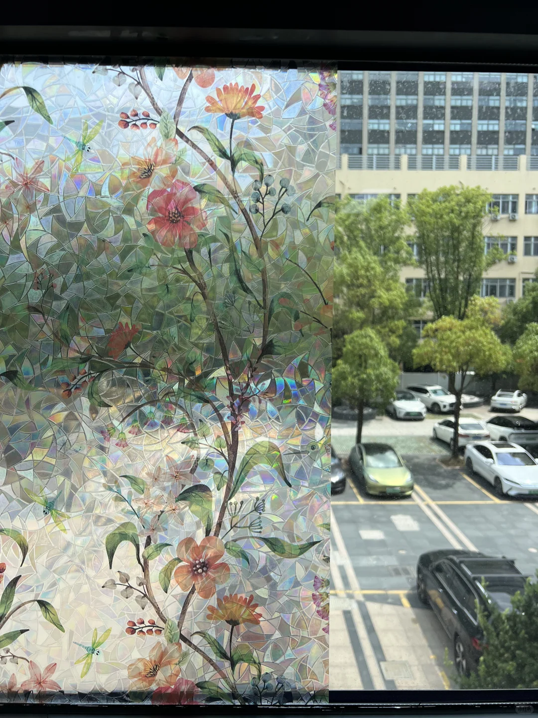 【上新】绝美光影魔法。这款膜让窗户变身艺术