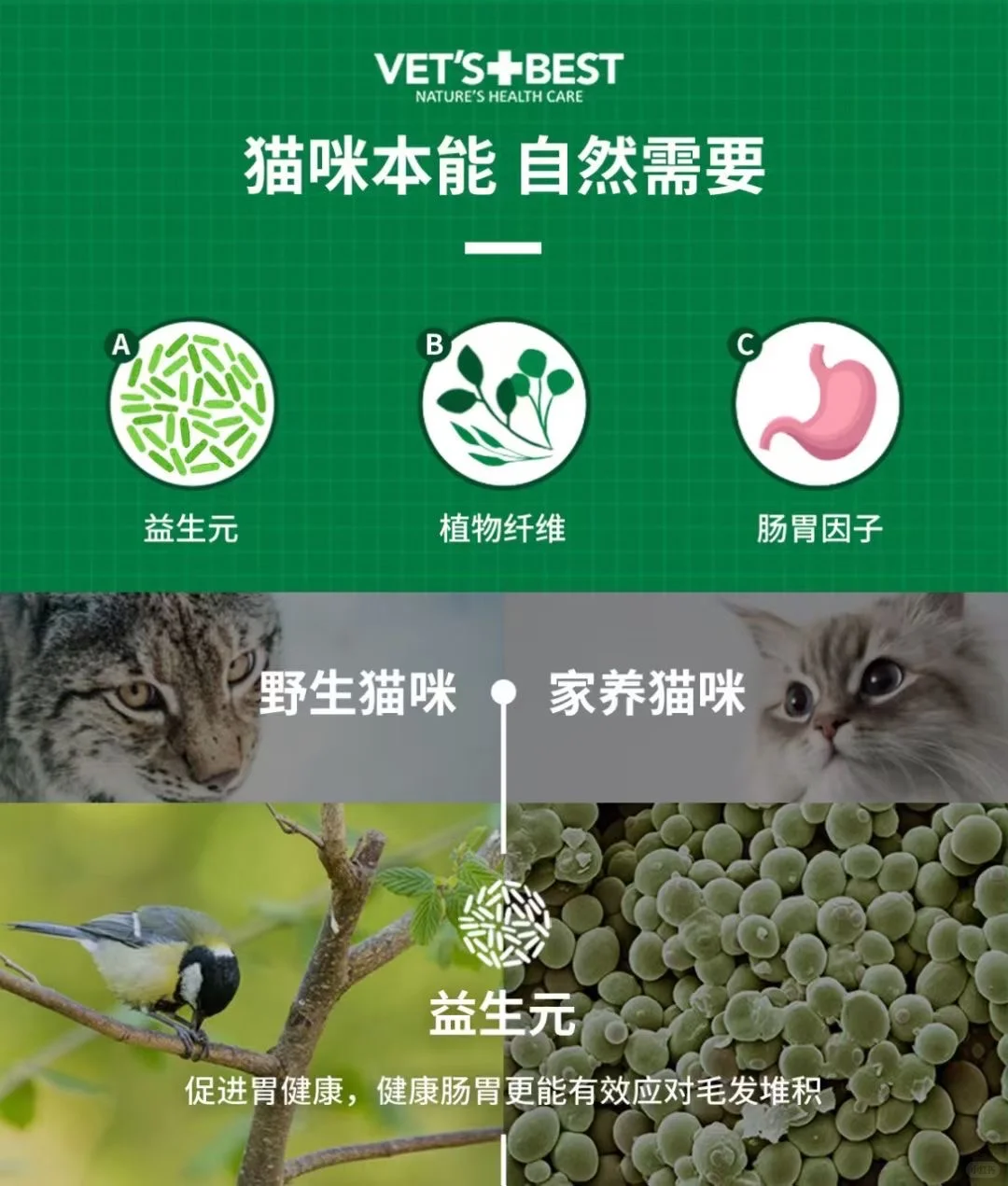 绿十字化毛片，线下专供款，门店合作私