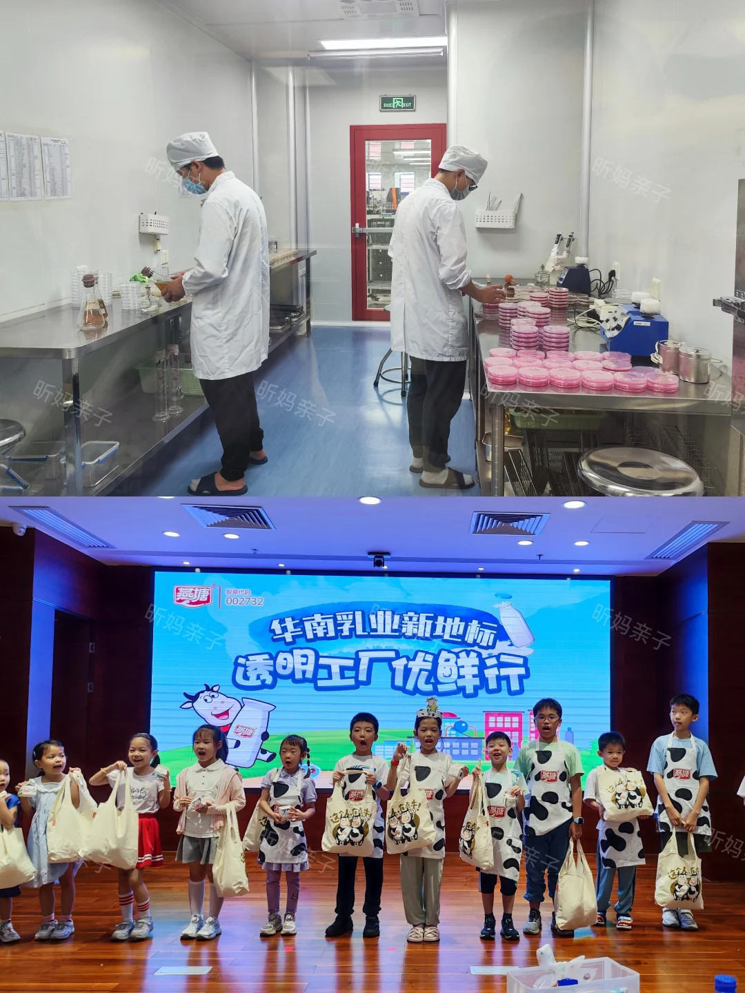 广州遛娃｜周末！亲子参观牛奶工厂生产线！