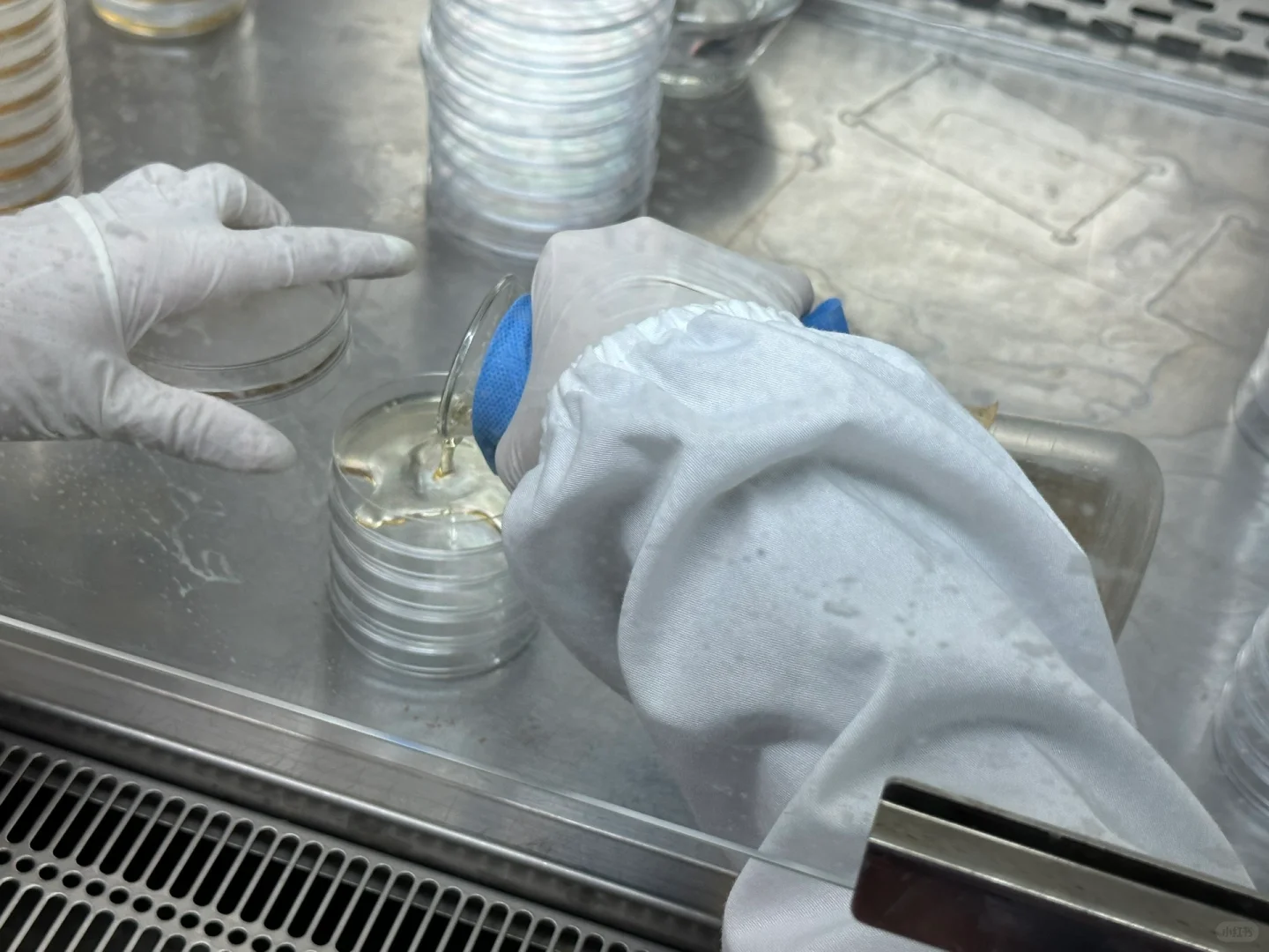 今日成就之配置培养基