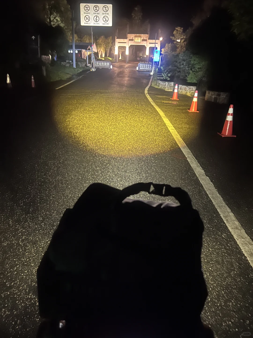 让我看看你们幼兽都改装了啥