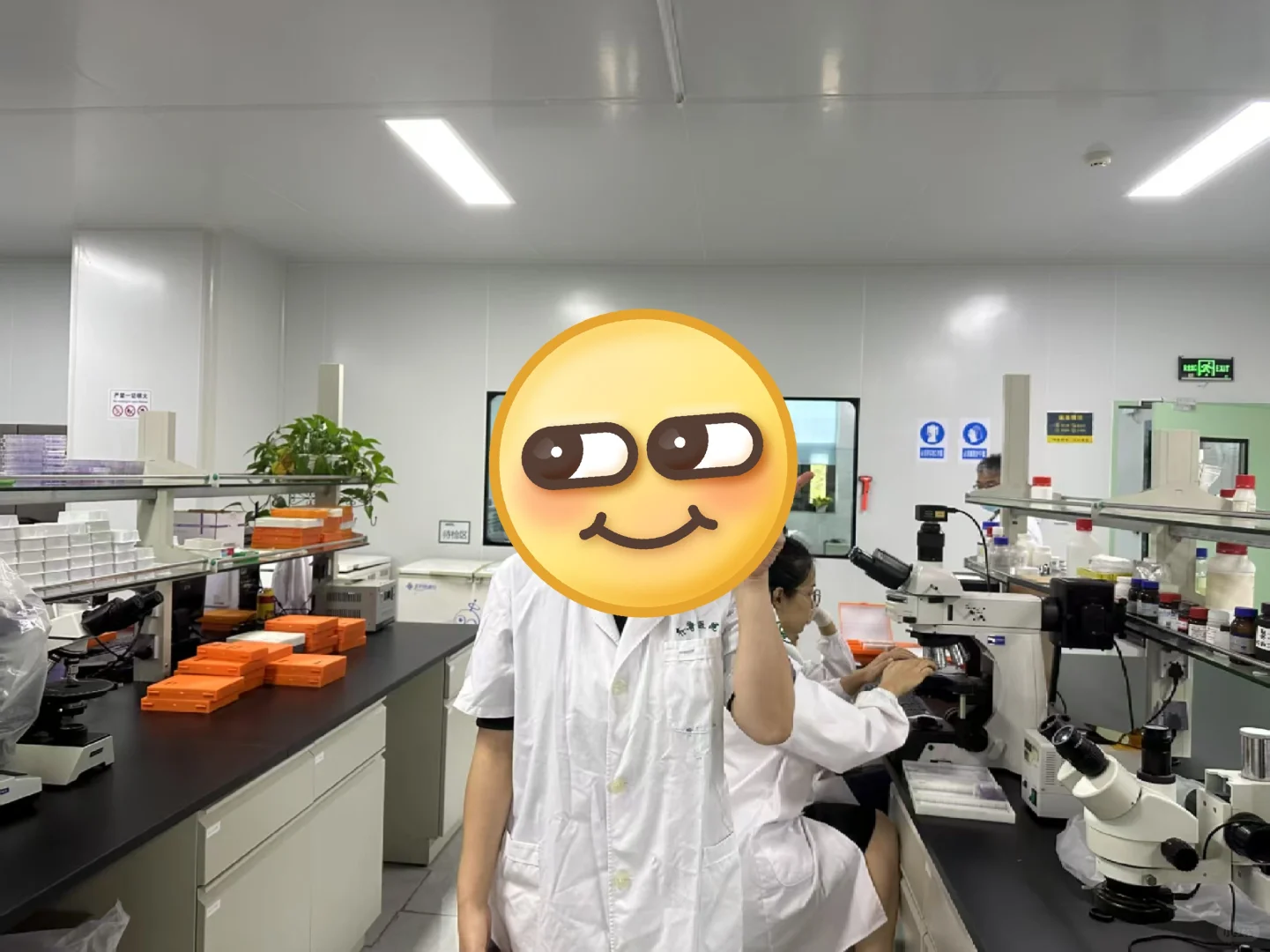 救命～实验外包真救命!