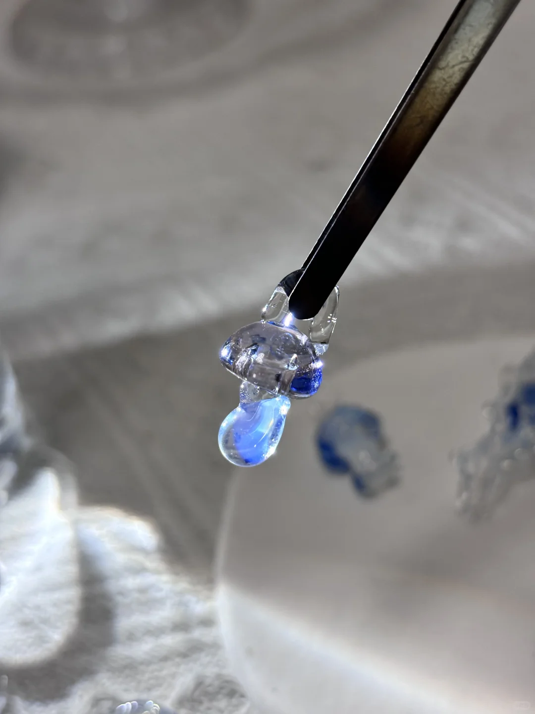 拍到了 我拍到了！！