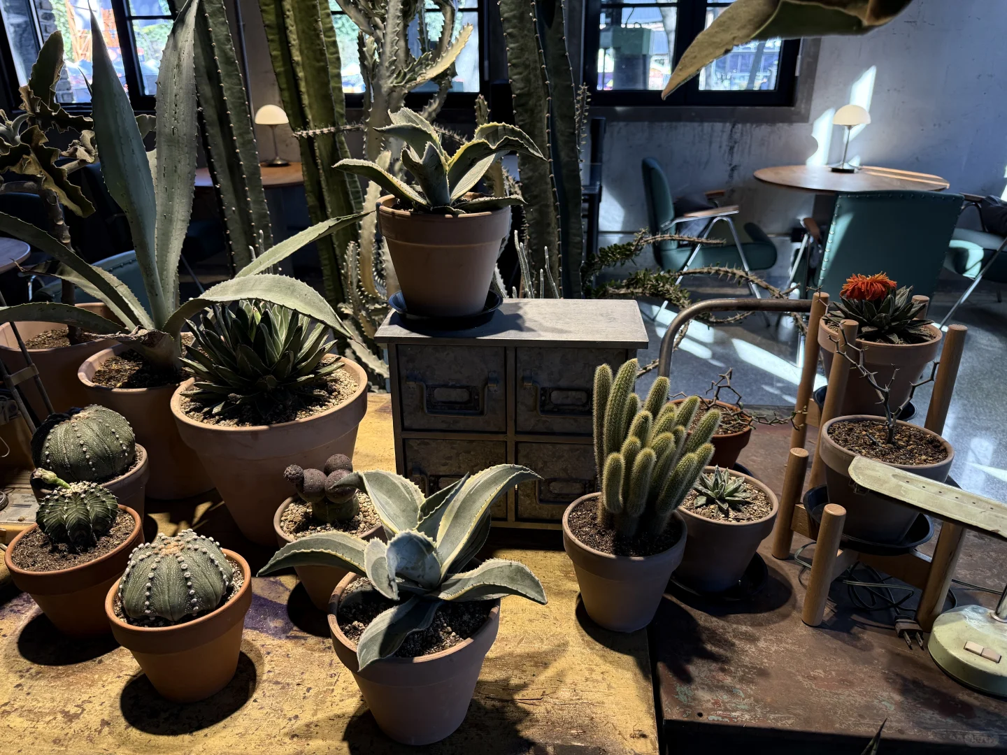 旧厂换新颜-钢架上的绿藤光阴