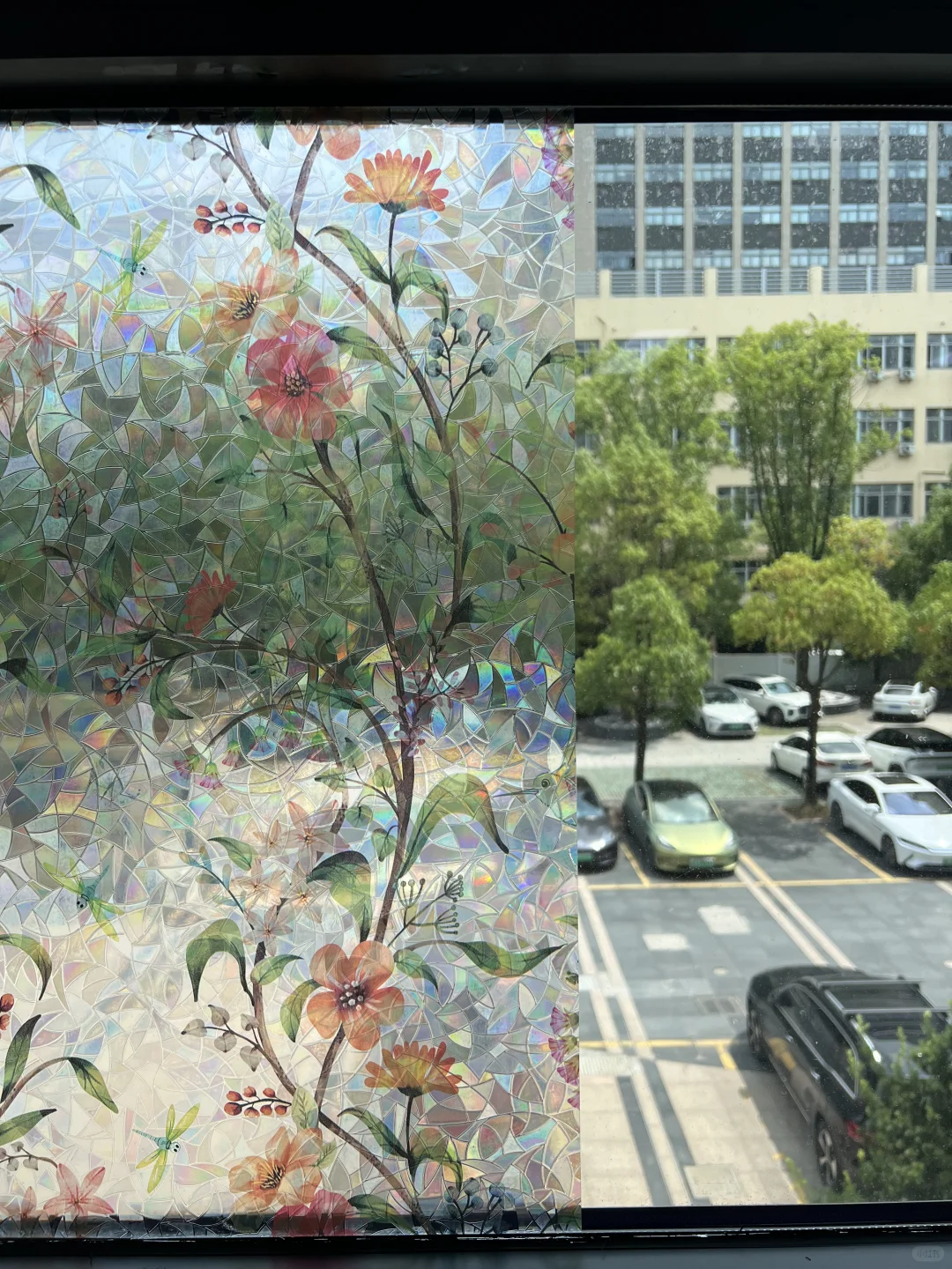 【上新】绝美光影魔法。这款膜让窗户变身艺术