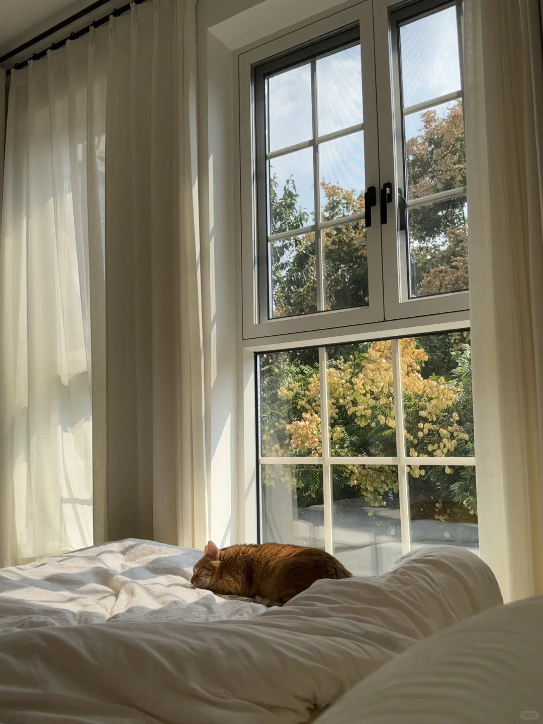 用断桥铝复刻格子窗,有一点点成功(附功课