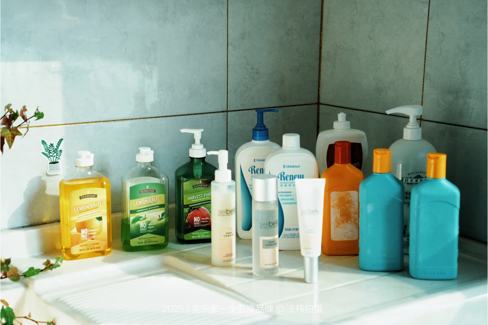 全面换用美乐家健康环保品牌