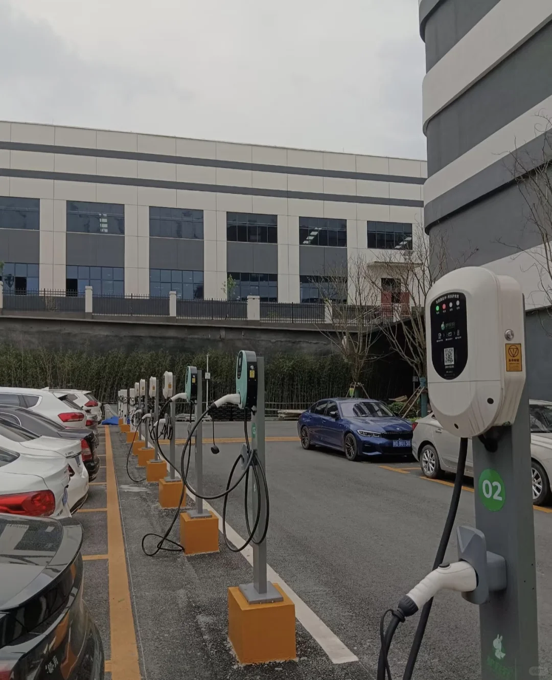 免费投放 增加收益