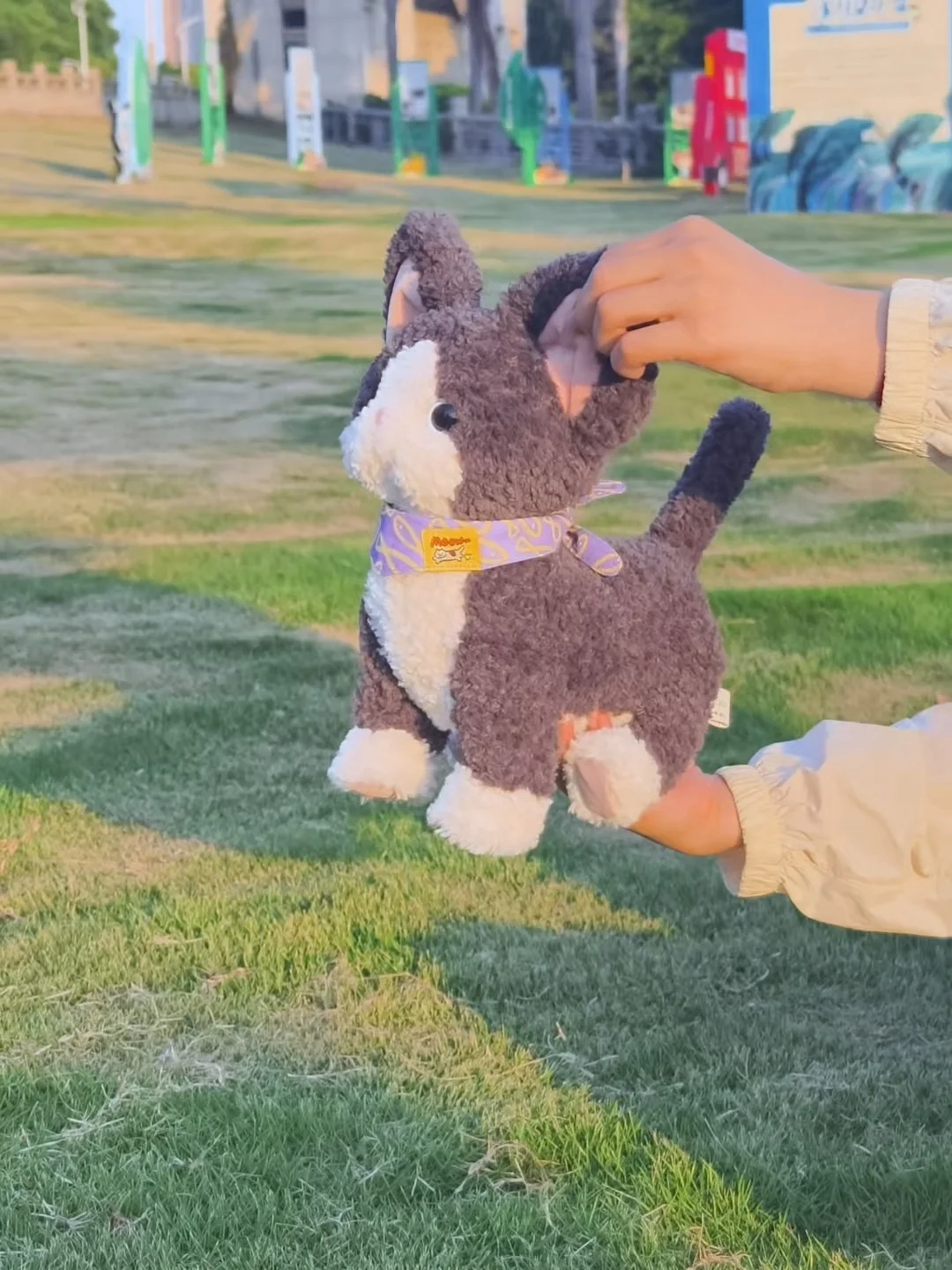 0.5r?送车车的纸尿裤，真要说再见了?